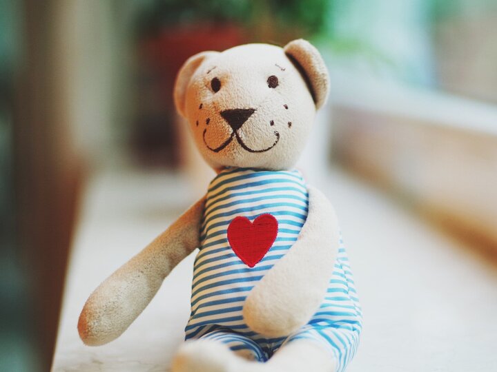 Kuscheltier Teddy
